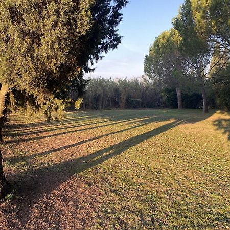 Saint-Rémy-de-Provence Mas La Pauline Gites De Charme & Roulotte מראה חיצוני תמונה
