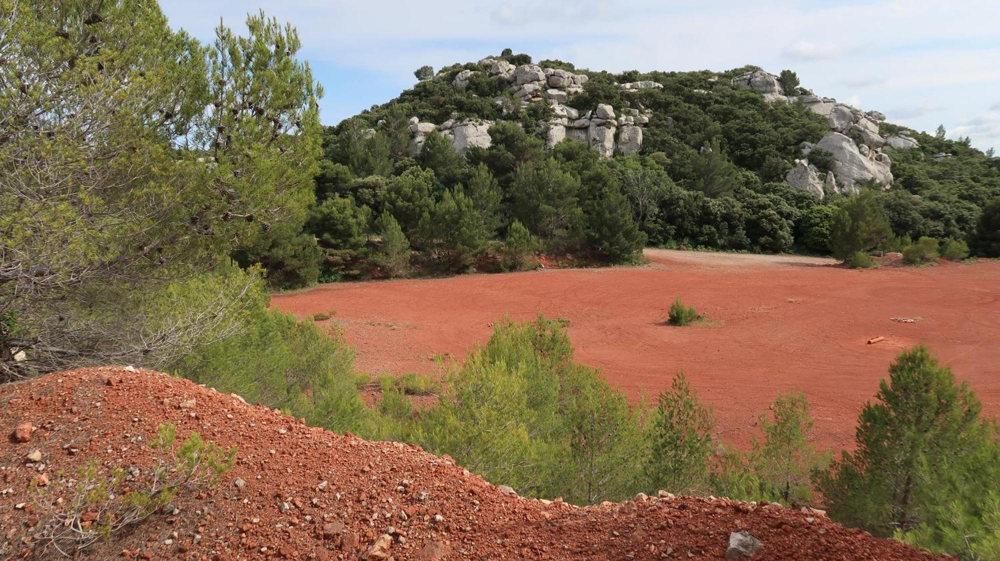 Saint-Rémy-de-Provence Mas La Pauline Gites De Charme & Roulotte מראה חיצוני תמונה