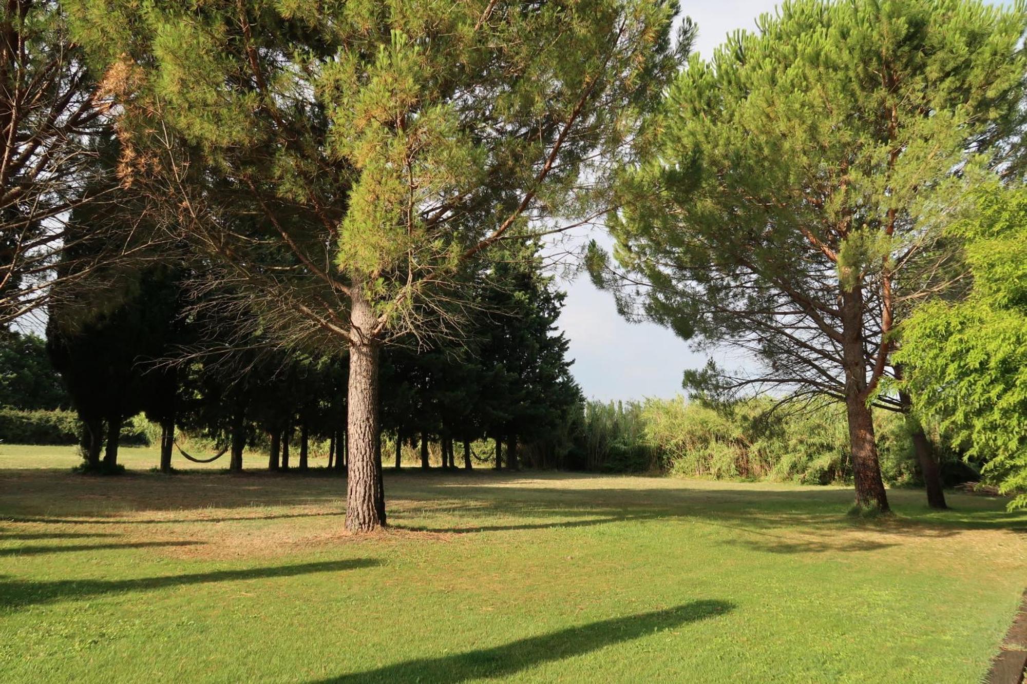 Saint-Rémy-de-Provence Mas La Pauline Gites De Charme & Roulotte מראה חיצוני תמונה