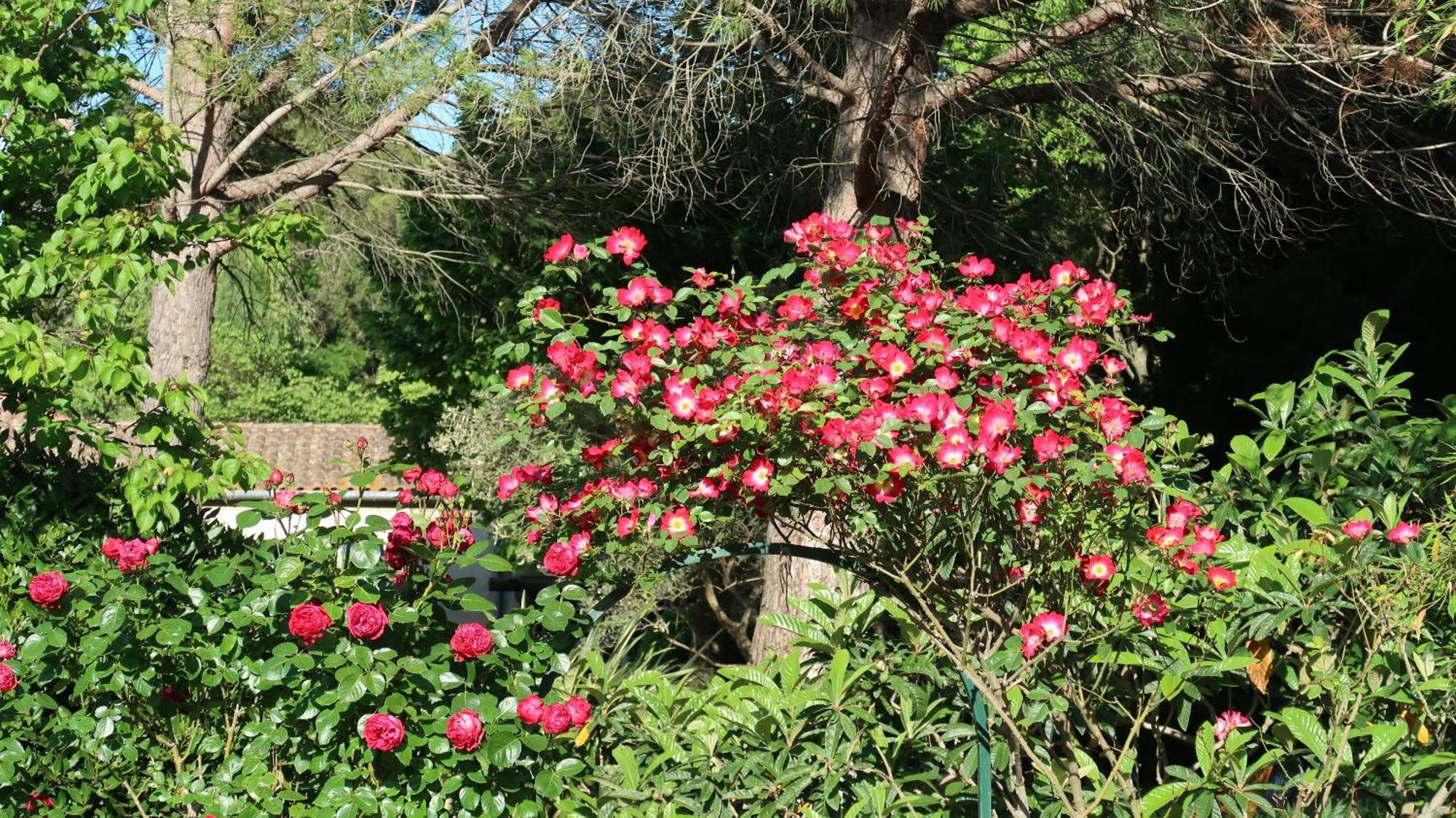 Saint-Rémy-de-Provence Mas La Pauline Gites De Charme & Roulotte מראה חיצוני תמונה