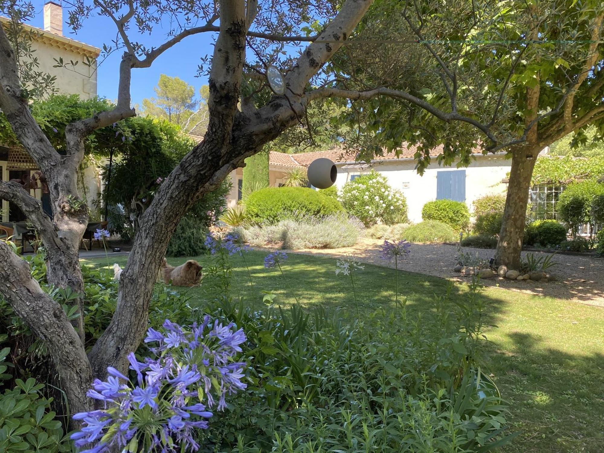 Saint-Rémy-de-Provence Mas La Pauline Gites De Charme & Roulotte מראה חיצוני תמונה